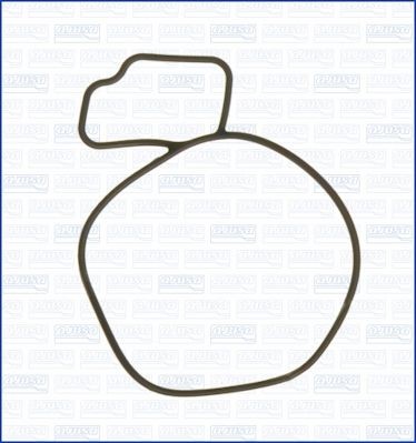 AJUSA Gasket, water pump Article number: 01055200 cheaply