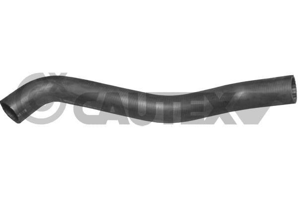 CAUTEX Radiatorslange artikkelnummer: 016188 billig