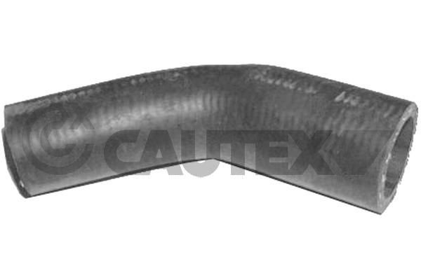 CAUTEX Radiator hose Article number: 026756 cheaply