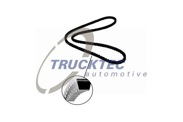 TRUCKTEC AUTOMOTIVE V-Belt Article number: 03.19.049 cheaply
