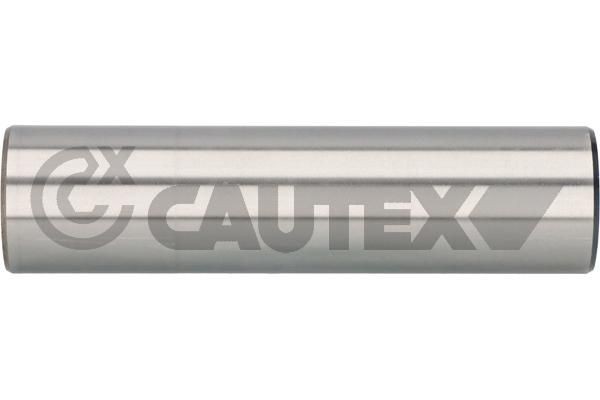 CAUTEX Paigutus, stabilisaator Artikli number: 031265 soodsalt