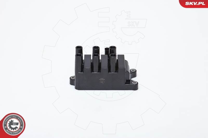 ESEN SKV Ignition coil Article number: 03SKV161 cheaply