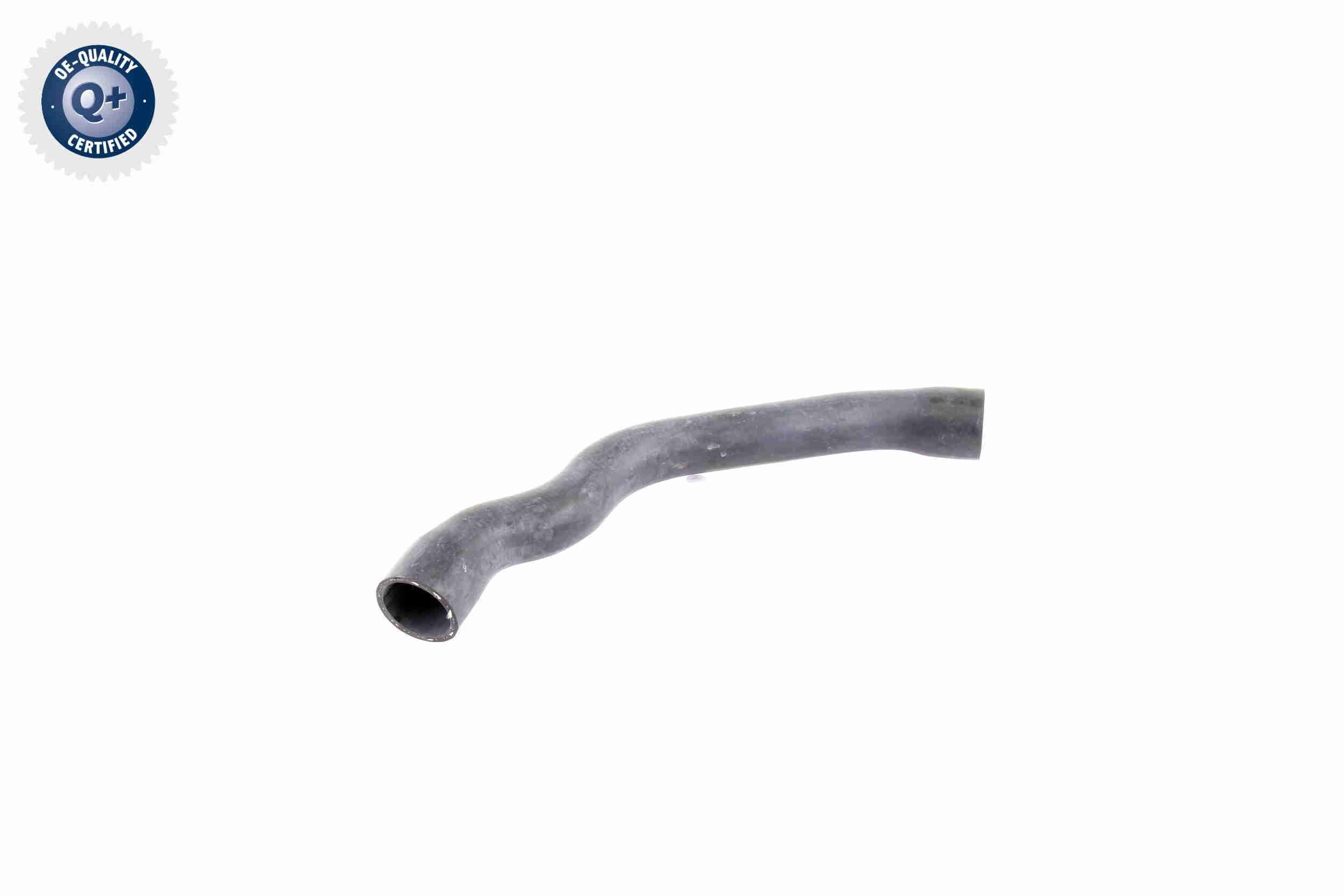 VAICO Radiator hose Article number: V30-2099 cheaply
