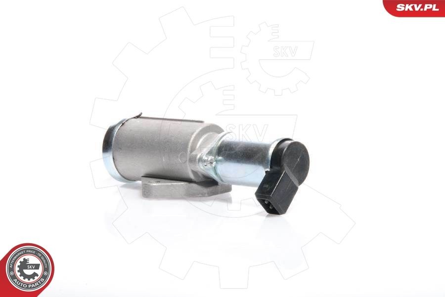ESEN SKV Idle Control Valve, air supply Article number: 08SKV219 cheaply