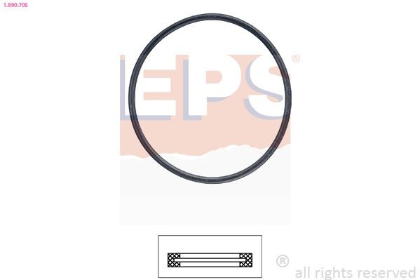 EPS Gasket, thermostat Article number: 1.890.705 cheaply