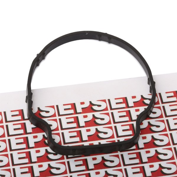 EPS Gasket, thermostat Article number: 1.890.707 cheaply