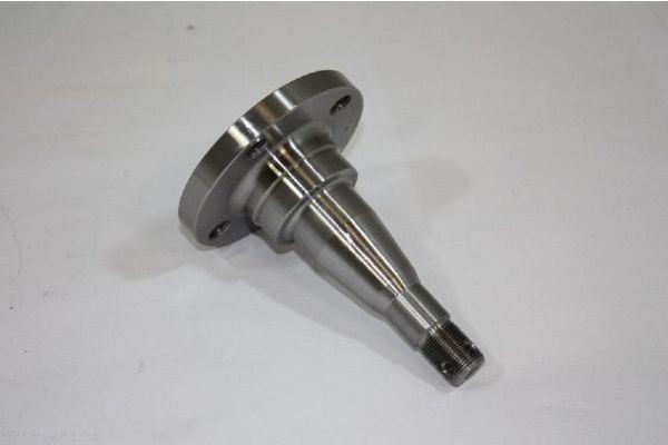 AUTOMEGA Kingpin, axle beam Article number: 110178210 cheaply
