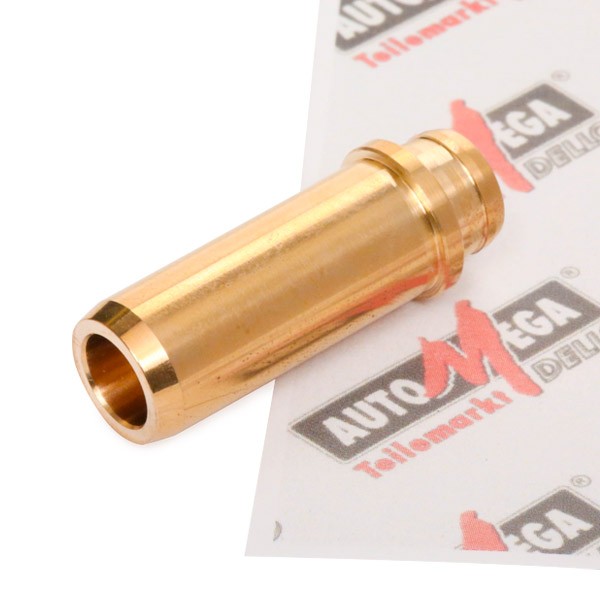 AUTOMEGA 130009510 Valve Guides TRANSPORTER 2.4 D Syncro 78 PS Diesel 2003