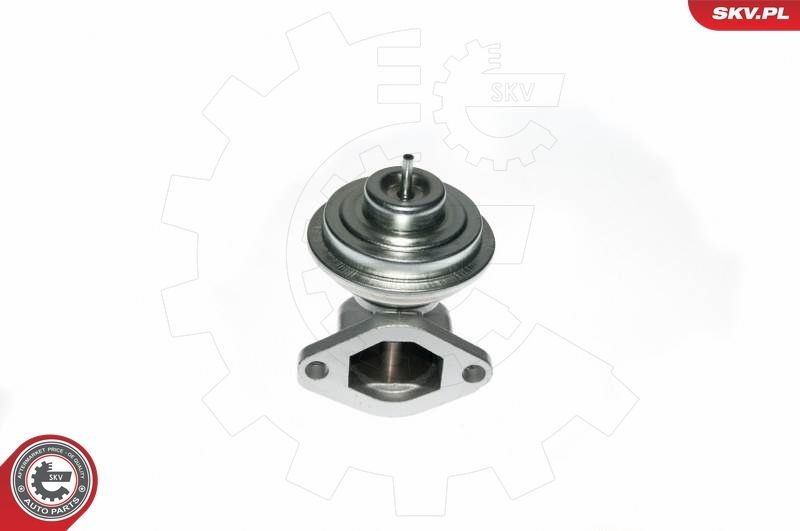 ESEN SKV EGR valve Article number: 14SKV049 cheaply