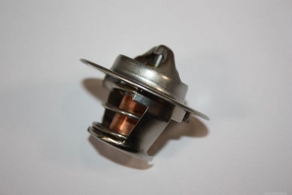 AUTOMEGA Thermostat Article number: 160099810 cheaply