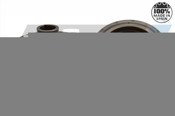 IJS GROUP Crankshaft pulley Article number: 17-1163 cheaply