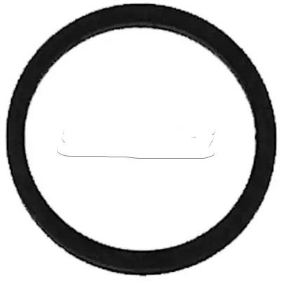 AUTOMEGA Seal Ring, injector Article number: 190019620 cheaply