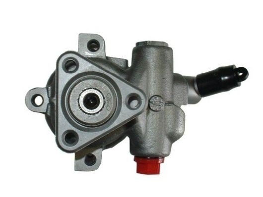 SPIDAN Power steering pump Article number: 53524 cheaply