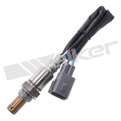 WALKER PRODUCTS Lambdasonde Varenummer: 250-54006 billige