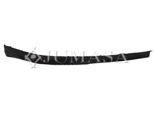 JUMASA 28325113 Bumper moulding COROLLA 2.0 D-4D (CDE120R_, CDE120L_) 116 PS Diesel 2007