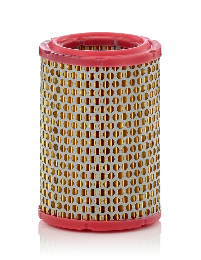 MANN-FILTER Air filter Article number: C 1134/1 cheaply