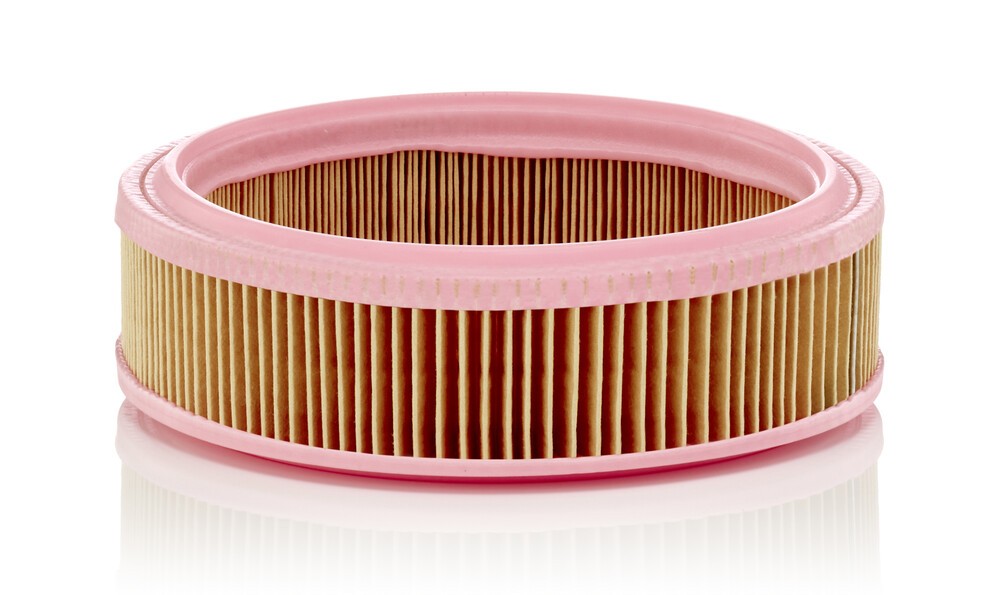 MANN-FILTER Air filter Article number: C 2021 cheaply