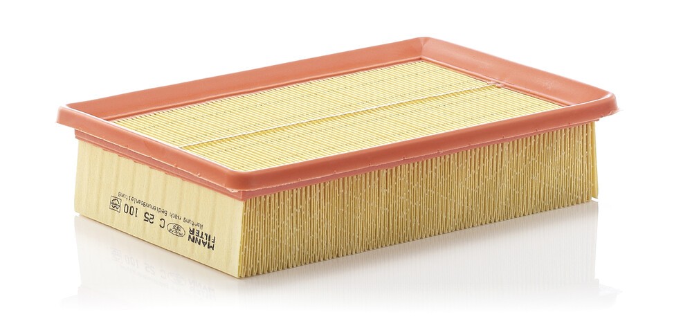 MANN-FILTER Air filter Article number: C 25 100 cheaply