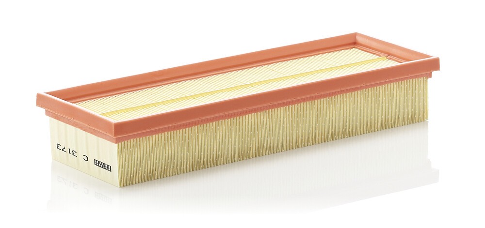 MANN-FILTER Air filter Article number: C 3173 cheaply