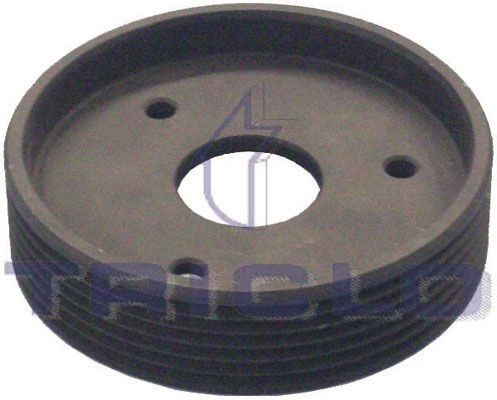TRICLO Crankshaft pulley Article number: 425179 cheaply