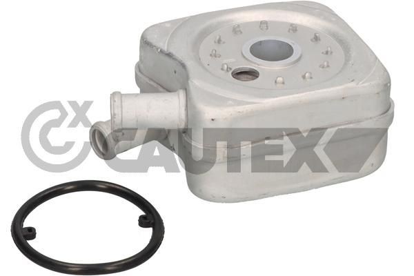 CAUTEX Engine oil cooler Article number: 462419 cheaply