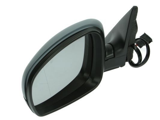 BLIC Interior Mirror Article number: 5402-04-1191379 cheaply