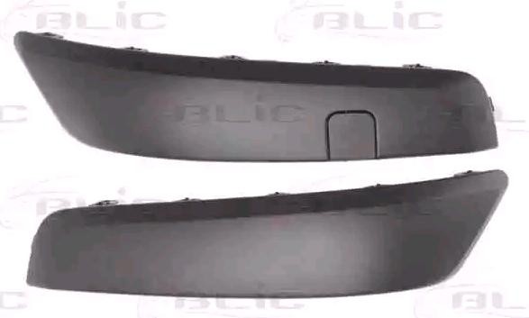 BLIC 5510-00-6042923P Bumper moulding SCÉNIC 1.9 dCi 120 PS Diesel 2010