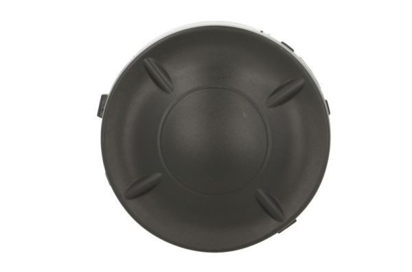 BLIC Bumper grill Article number: 5513-00-1619996P cheaply