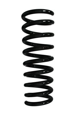 SPIDAN Coil spring Article number: 55571 cheaply