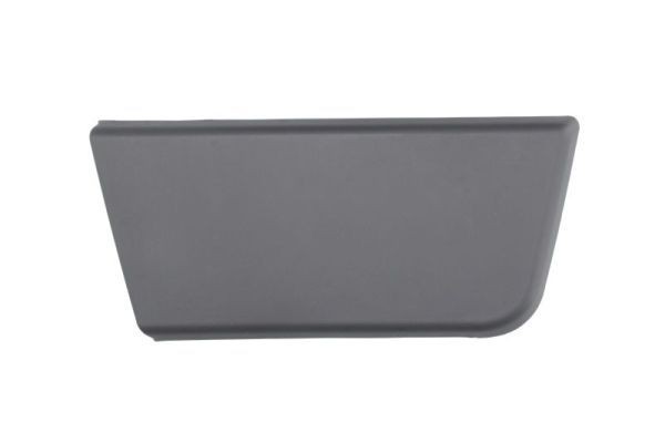BLIC Door molding Article number: 5703-04-2097572P cheaply