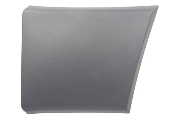 BLIC 5703-04-2097573P Trim / Protective Strip, sidewall DUCATO 2.8 JTD 4x4 128 PS Diesel