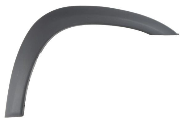 BLIC Trim / Protective Strip, mudguard Article number: 5703-08-8179374P cheaply