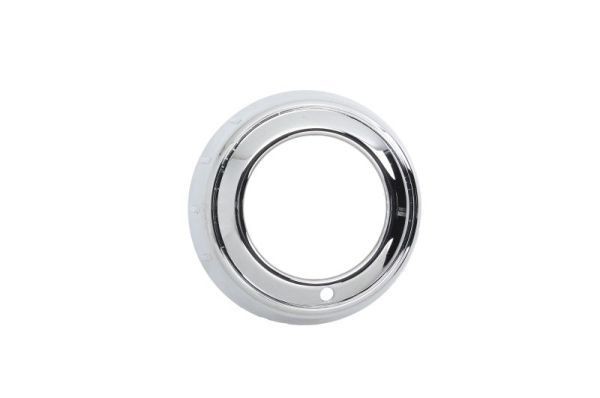 BLIC Bumper grill Article number: 6502-07-3750918P cheaply