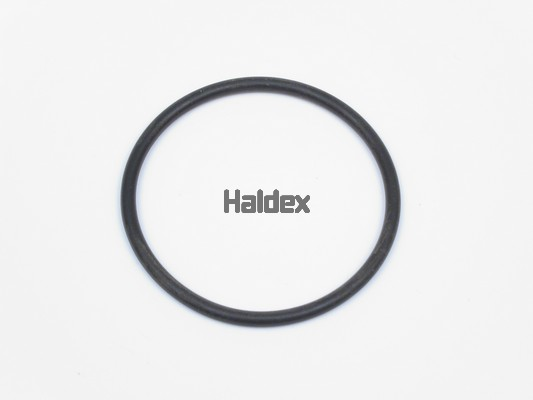 HALDEX Tetning, sylinderhylse artikkelnummer: 024006709 billig