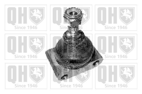 QUINTON HAZELL Ball Joint Article number: QSJ103S cheaply