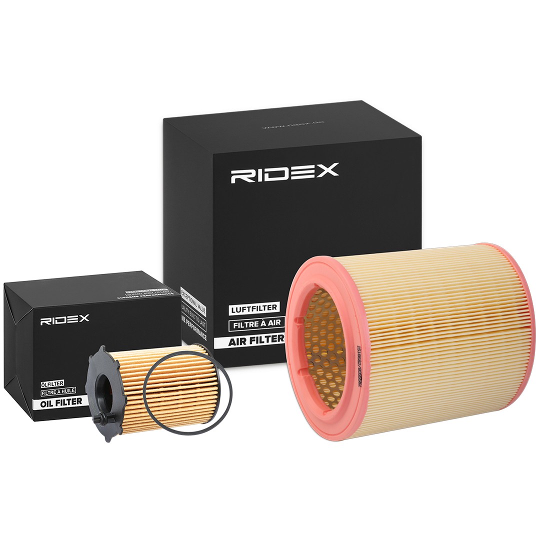 RIDEX Filter kit Varenummer: 4055F0999 billige