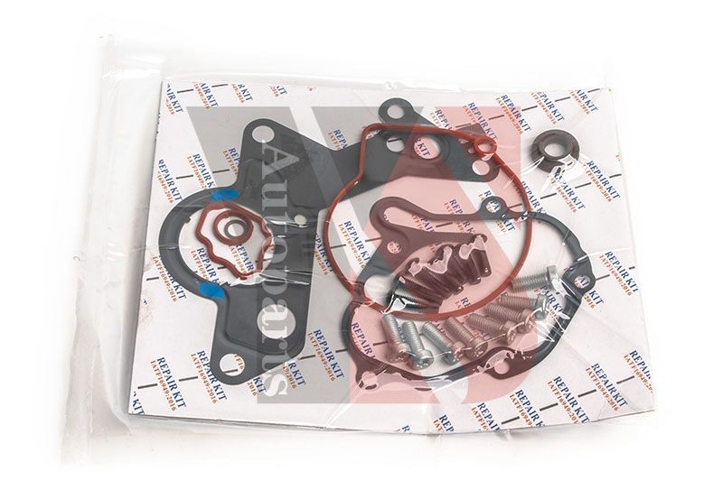 YSPARTS YS-VP26XLB01 Set reparatie, pompa vacuum (Siste frana) NEW BEETLE 1.9 TDI 101 CP motor diesel 2010
