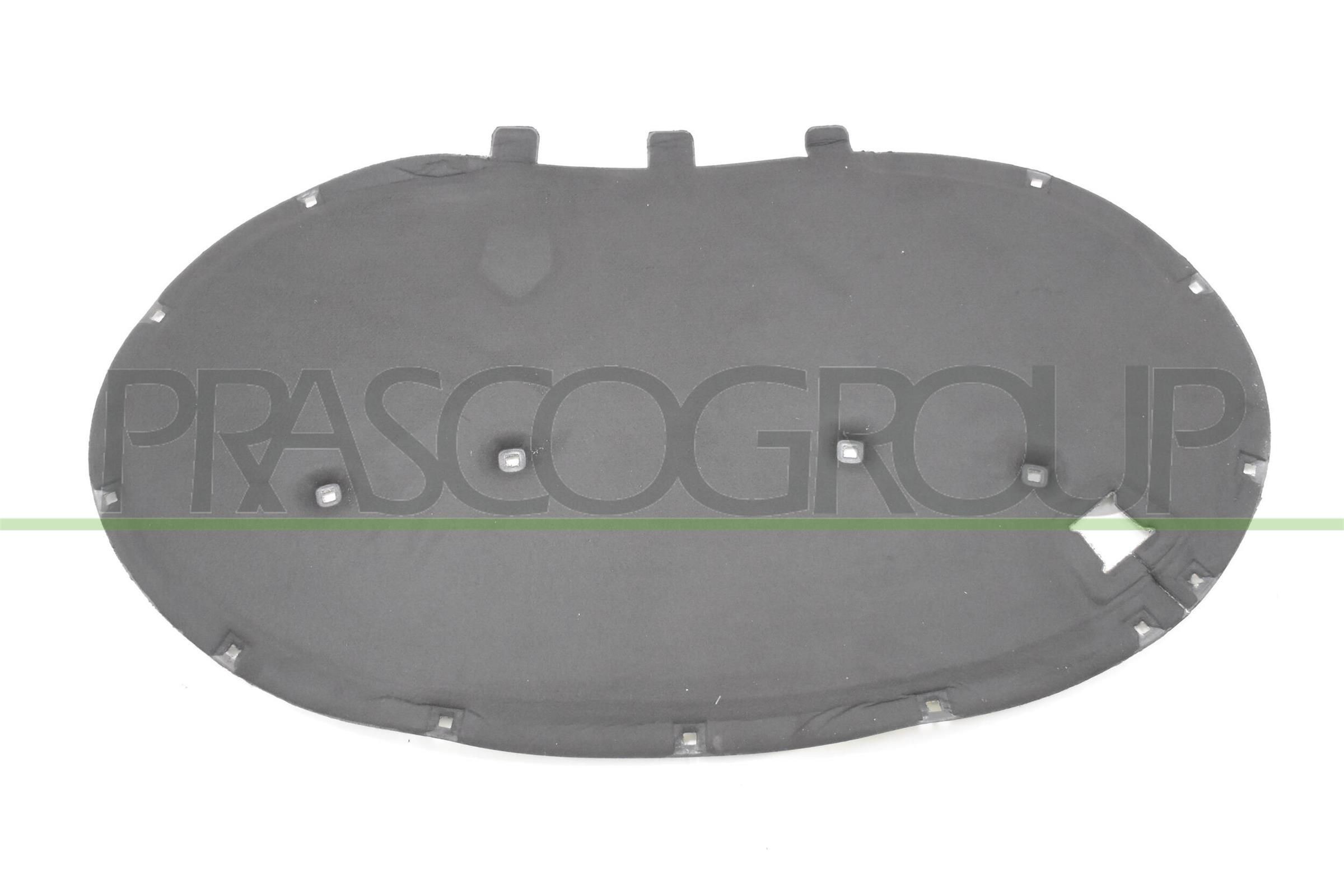 PRASCO VG0551945 Äänieriste PASSAT 2.0 TDI 4motion 170 HV Diesel 2014