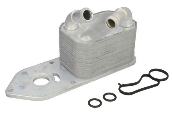 THERMOTEC Engine oil cooler Article number: D4G021TT cheaply