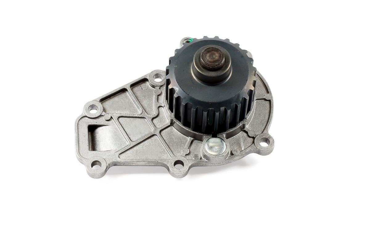 HEPU Water pump Article number: P1216 cheaply