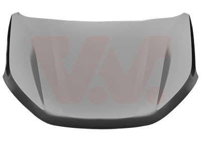 VAN WEZEL Cofano Numero articolo: 1510670 poco costoso