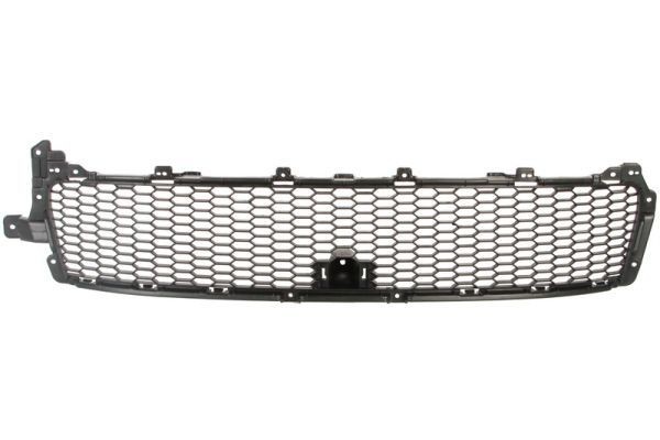 BLIC Bumper grill Article number: 6502-07-3750910P cheaply