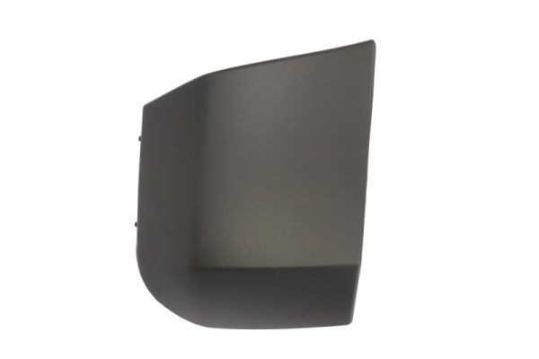 BLIC Bumper moulding Article number: 6502-07-0538971Q cheaply
