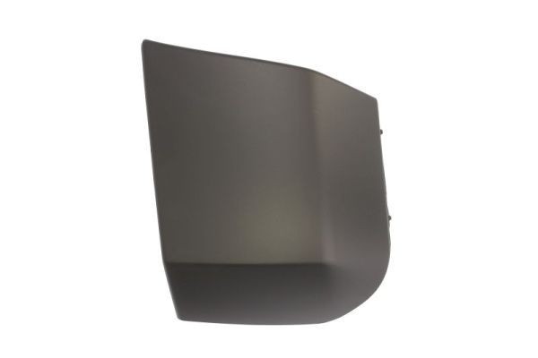 BLIC Bumper moulding Article number: 6502-07-0538972Q cheaply