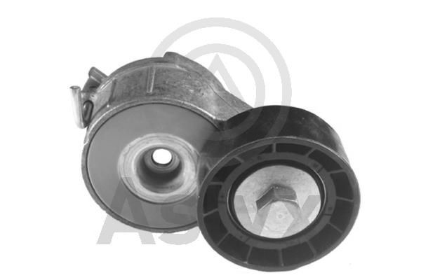 Aslyx Tensioner Lever, v-ribbed belt Article number: AS-506206 cheaply