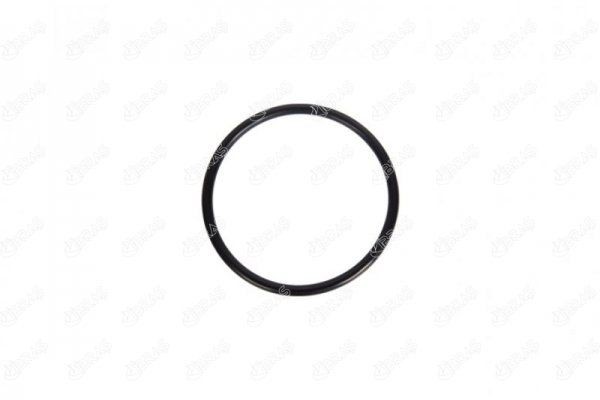 IBRAS Seal, throttle body Article number: 11069 cheaply