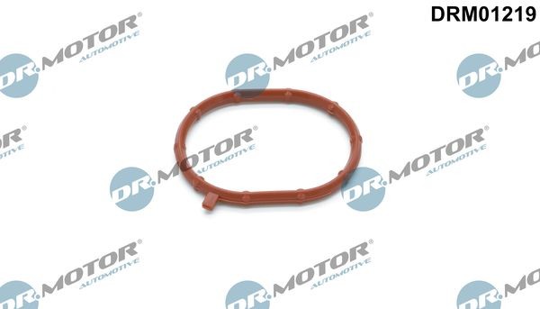 DR.MOTOR AUTOMOTIVE Tarpiklis, užpildytuvas prekės numeris: DRM01219 nebrangu