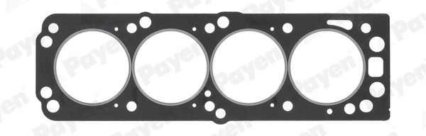 PAYEN Gasket, cylinder head Article number: BS260 cheaply