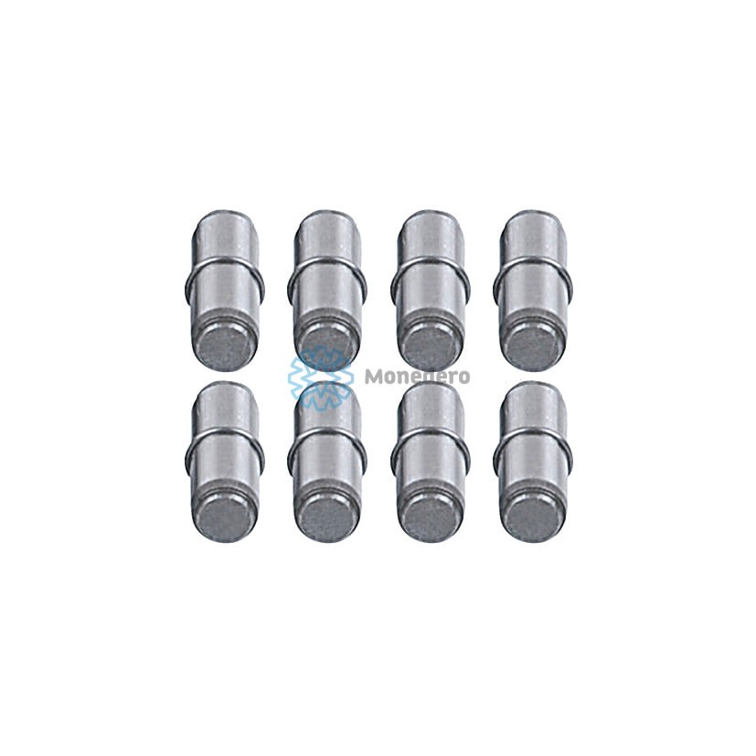 MONEDERO Bolts, outer planetary gear synchronizer body Article number: 40029000010 cheaply