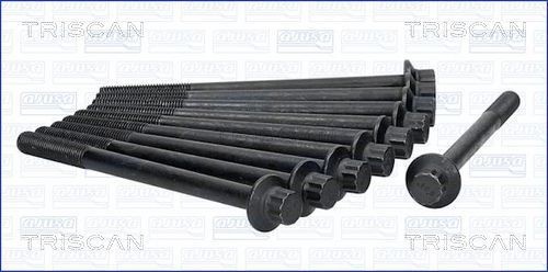 TRISCAN Bolt Kit, cylinder head Article number: 98-4009 cheaply